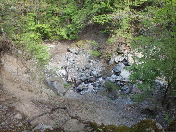 f0193521_16292287.jpg
