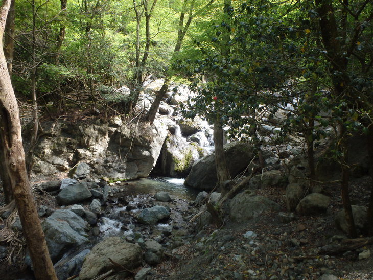 f0193521_16302588.jpg