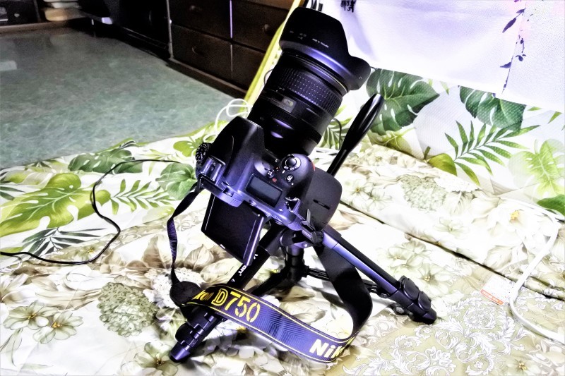 f0377222_20133345.jpg