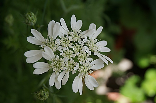 b0068423_21282569.jpg