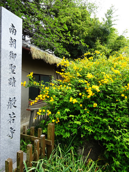 e0192725_06321677.jpg
