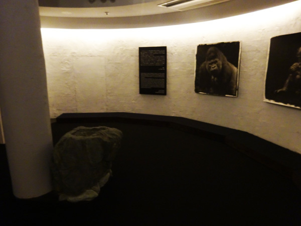 e0192725_20043897.jpg