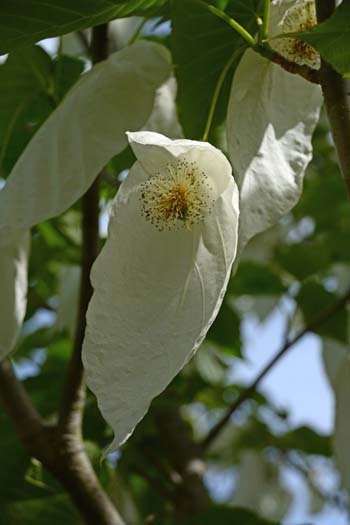 f0147025_14054852.jpg