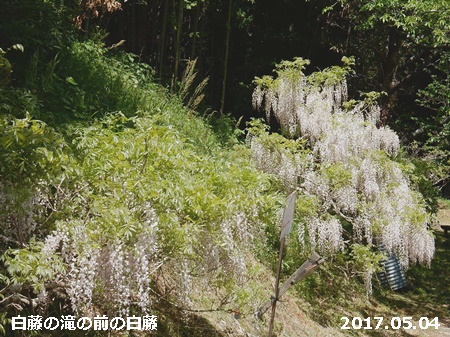 e0033229_18113161.jpg