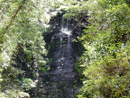 e0033229_18123722.jpg
