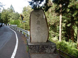 e0033229_18213953.jpg