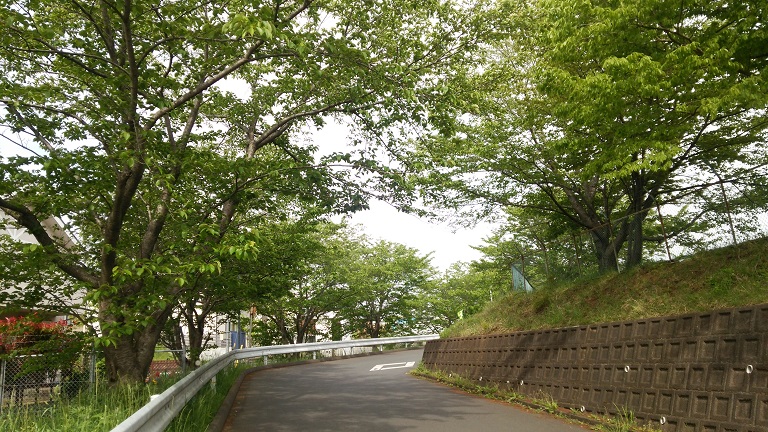 f0002833_20402278.jpg