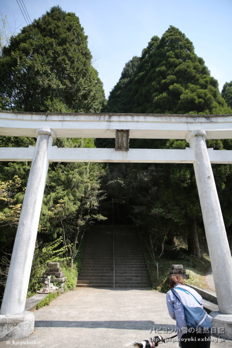 d0140234_19451247.jpg