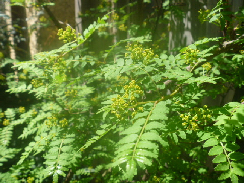 b0246036_551226.jpg