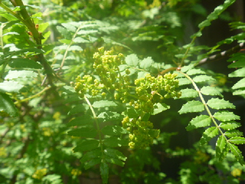 b0246036_5552710.jpg