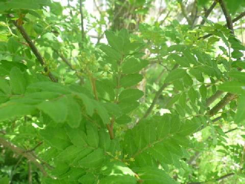 b0246036_684569.jpg