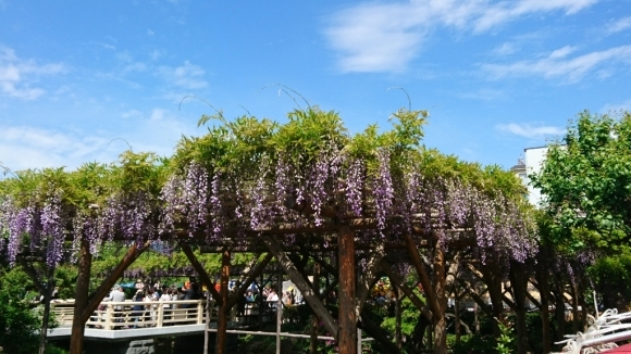 c0193136_18574715.jpg