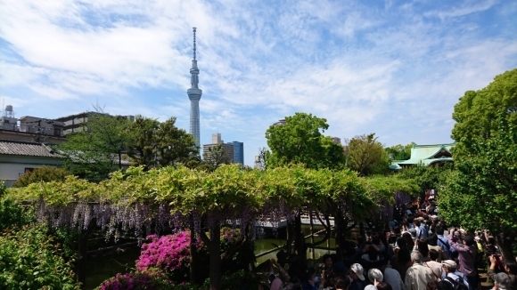c0193136_18574950.jpg