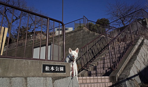 a0117039_030466.jpg