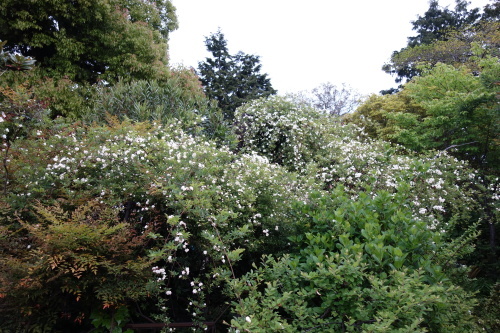 f0375039_16032818.jpg