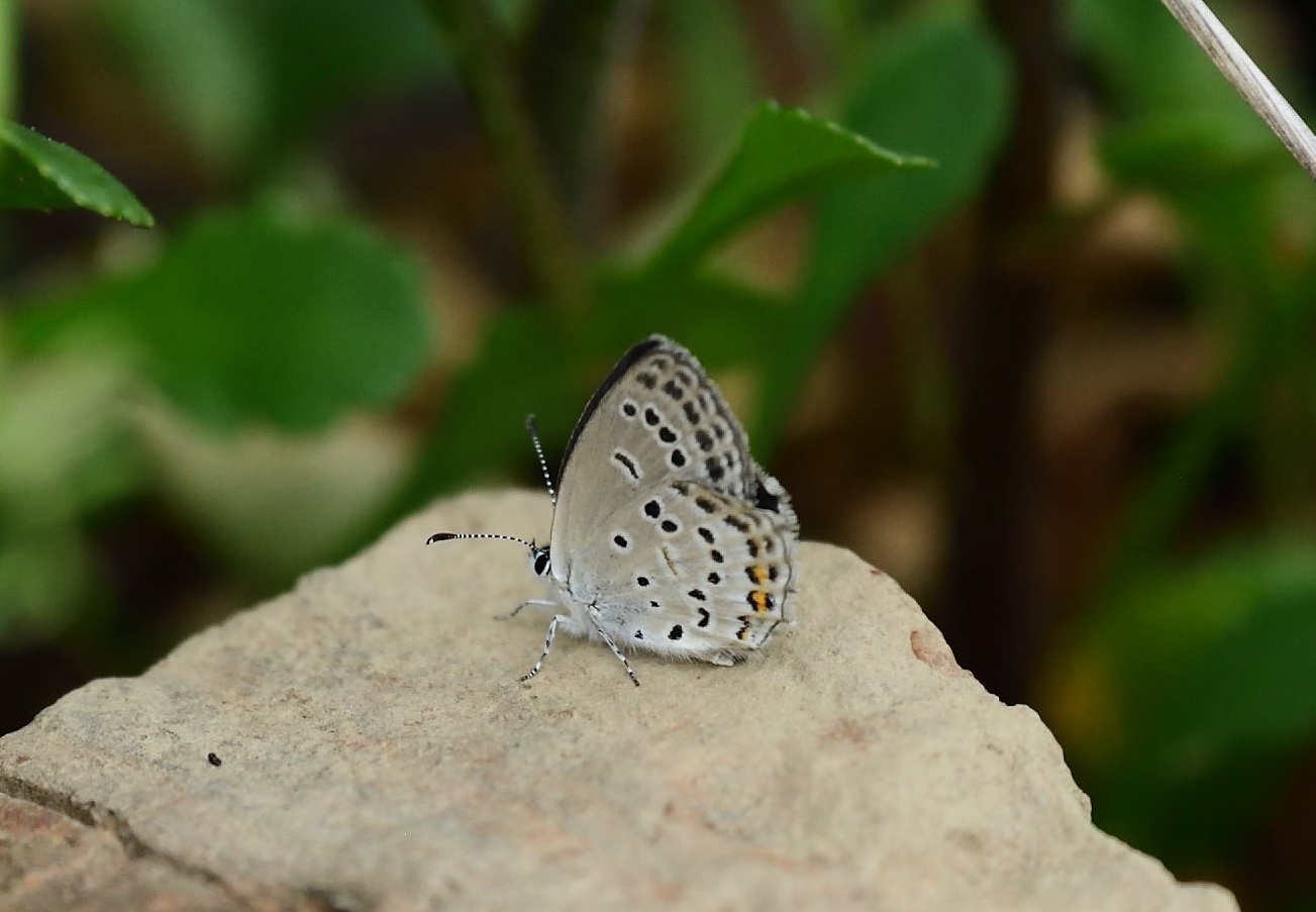 d0285540_19361514.jpg