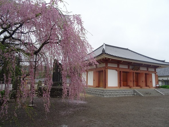 b0299042_23412771.jpg
