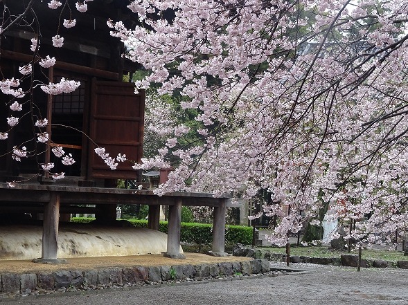 b0299042_23415710.jpg