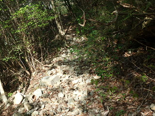 f0334143_8285115.jpg