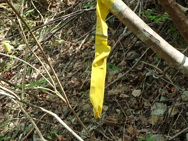 f0334143_830088.jpg