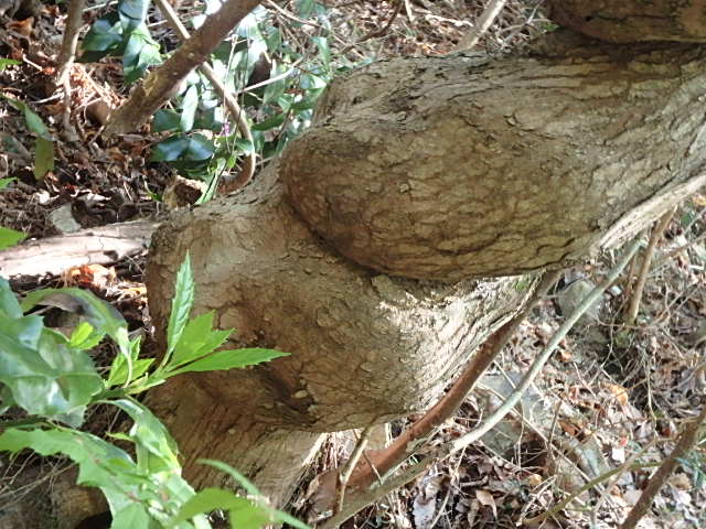 f0334143_8302541.jpg