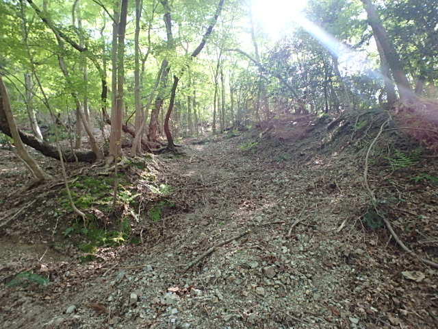 f0334143_8304496.jpg