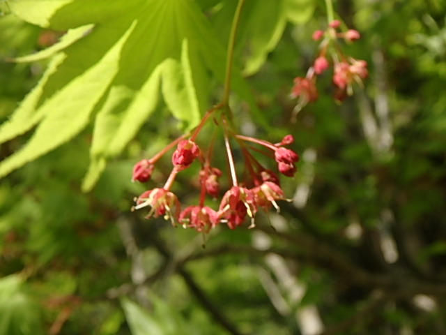 f0334143_8314066.jpg