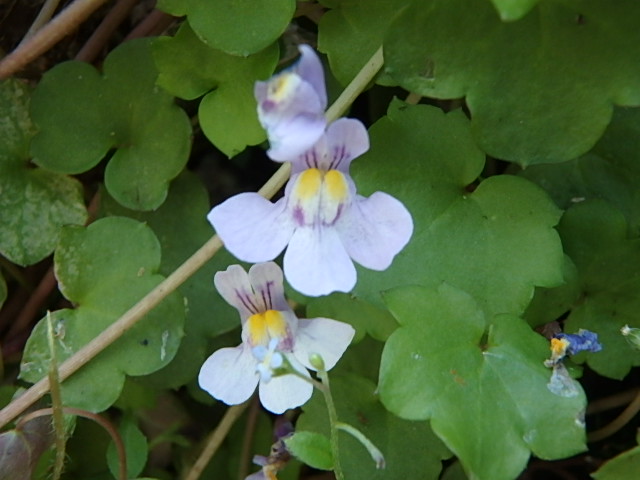 f0334143_832618.jpg