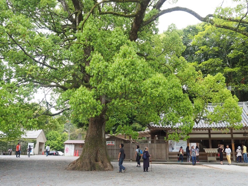 f0169147_15255236.jpg