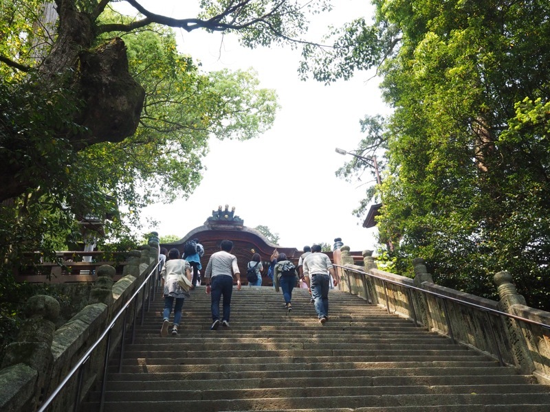 f0169147_20205580.jpg
