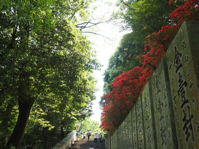 f0169147_20233928.jpg