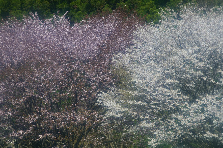 a0324049_23501888.jpg