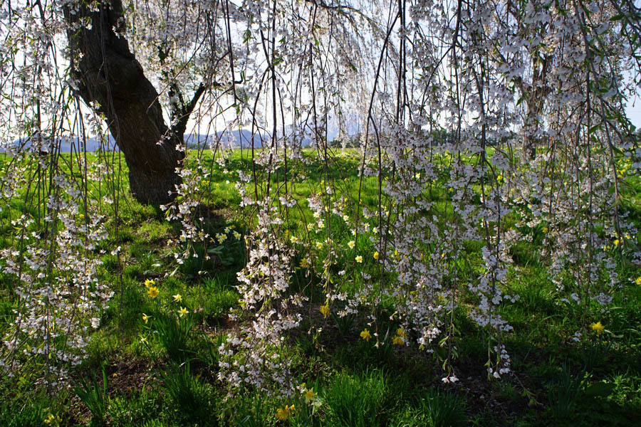 a0324049_23505566.jpg