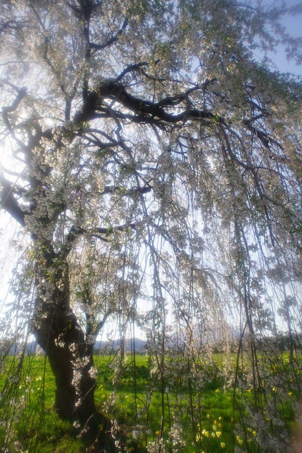 a0324049_23510102.jpg