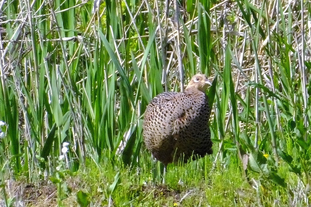 b0236251_10095521.jpg