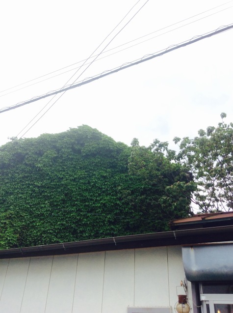 c0340351_16100427.jpeg