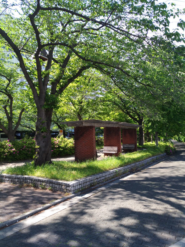 c0058052_21143639.jpg
