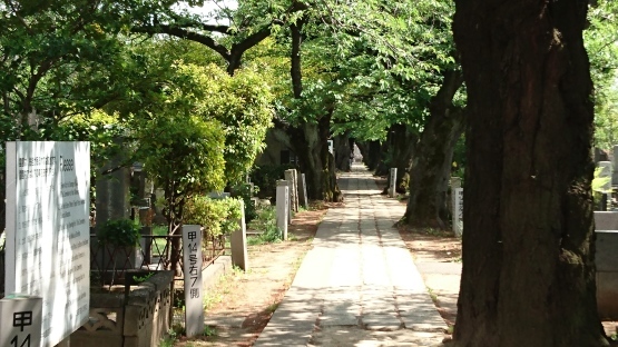 d0347253_19451099.jpg