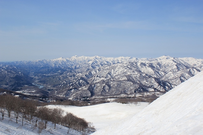 e0239458_17500955.jpg