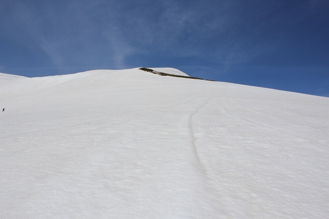 e0239458_23020443.jpg