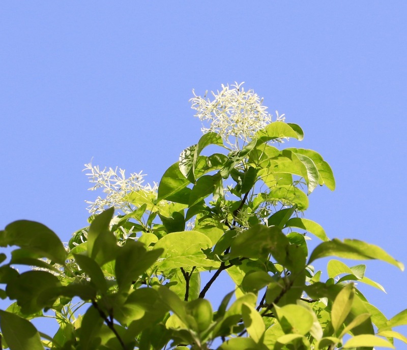 a0248459_16070696.jpg