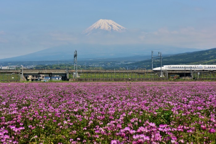 a0307264_10383530.jpg