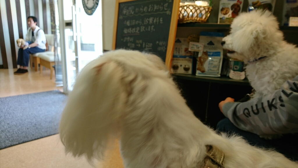c0325866_22210538.jpg