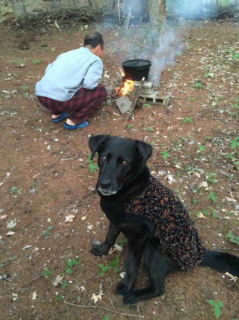 e0232266_19492449.jpeg