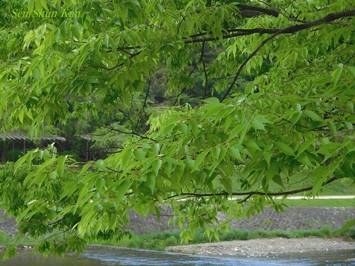 a0164068_23313038.jpg