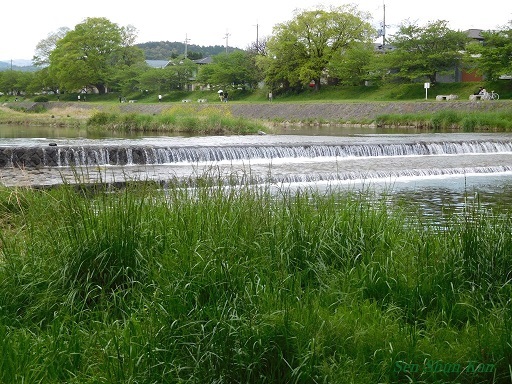 a0164068_23345812.jpg