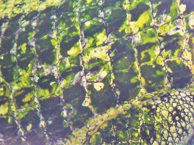 c0105569_00503593.jpg