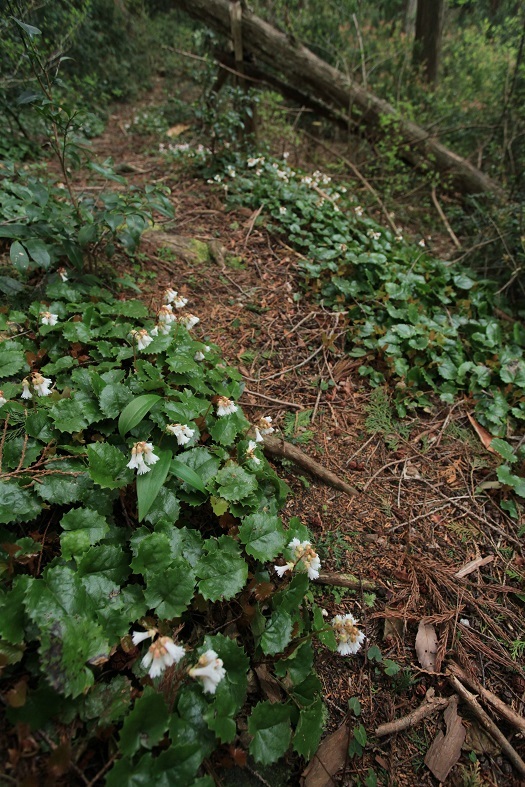 e0304170_21272819.jpg