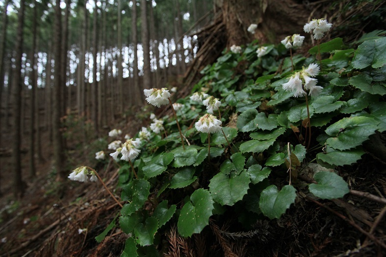 e0304170_21304410.jpg
