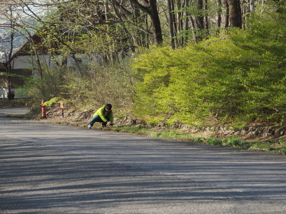 c0357573_11212814.jpg